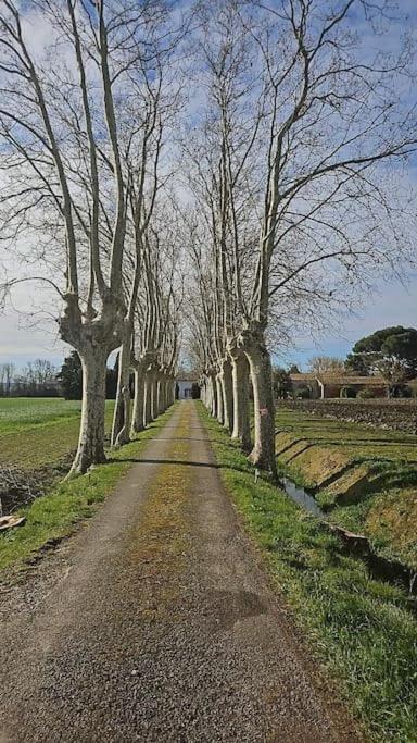 Hebergement - Canal Du Midi Saint-Martin-Lalande 外观 照片